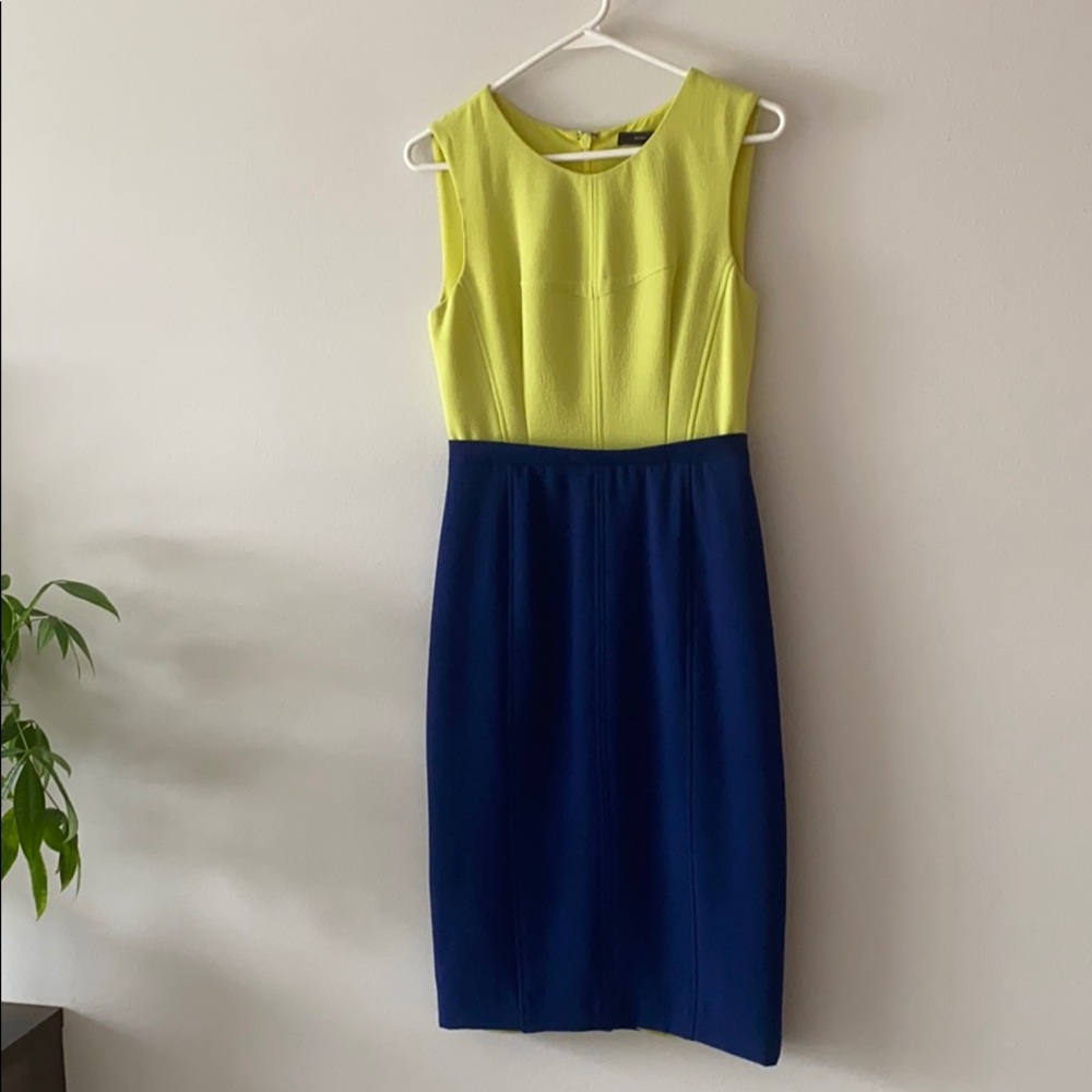 BCBG Dress